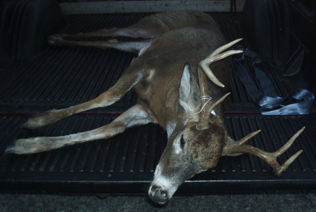 Deer_2003b 2003 Hunting Whitetail Deer with Winchester Model 9410 and 410 slugs